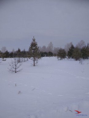 Баженово ул Южная д 7 в Балаклаве - balaklava.yutvil.ru - фото 5