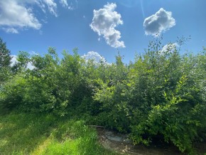 СПК Юбилейный, уч. 9 в Балаклаве - balaklava.yutvil.ru - фото 15