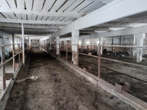 ул. Ленина,15а в Балаклаве - balaklava.yutvil.ru - фото 16 ул. Ленина,15а в Балаклаве - balaklava.yutvil.ru - фото 16