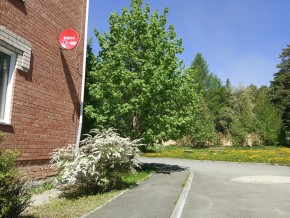 ул. Сосновая, 8 в Балаклаве - balaklava.yutvil.ru - фото 25