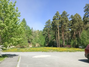 ул. Сосновая, 8 в Балаклаве - balaklava.yutvil.ru - фото 26
